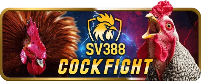 Hoàn Trả Thể Thao & Casino go888 game